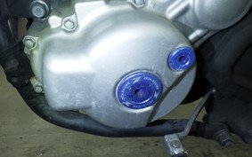 YAMAHA WR250X DG15J
