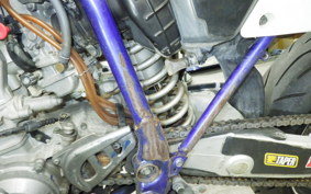 YAMAHA WR250F 2024 CG11W