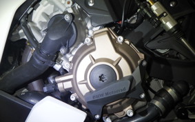BMW S1000R M PACKAGE 2021