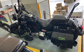 HARLEY FLSTFB 2010 JN5