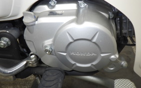 HONDA C110 SUPER CUB JA44
