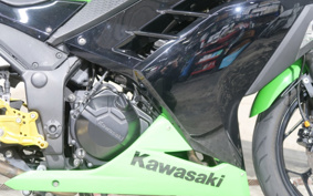 KAWASAKI NINJA 250 EX250L