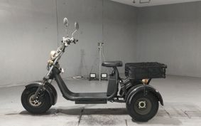 OTHER  BLAZE EV TRIKE  ..