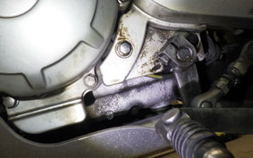 YAMAHA SEROW 250 Gen.2 2009 DG17J