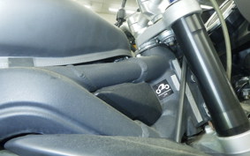 TRIUMPH STREET TRIPLE R 2009