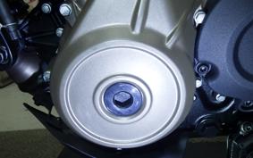HUSQVARNA SVARTPILEN 250