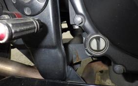 KAWASAKI NINJA 250 ABS EX250L