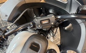 HARLEY FXLRST 2025 YXZ