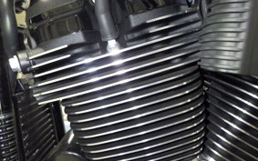 HARLEY FXLRS1920 2024