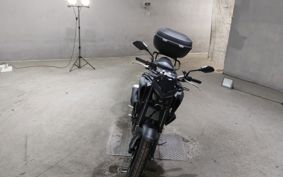 YAMAHA MT-25 RG74J