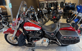 HARLEY FLI 2024 BCK