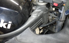 KAWASAKI ZZ-R250 2006 EX250H