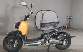 HONDA ZUMAR AF58