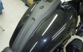 HARLEY FXLRST1920 2024