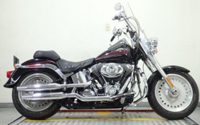 HARLEY FLSTF 2007 BX5