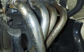 HONDA HORNET 250 2025 MC31