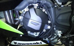 KAWASAKI NINJA ZX-6R A 2025 ZX636J