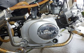 OTHER UNREGISTERED MODEL by BDS50 RZ