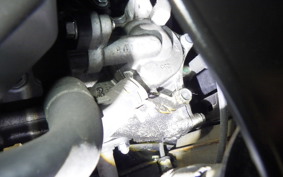 HONDA GIORNO 3 2025 AF77