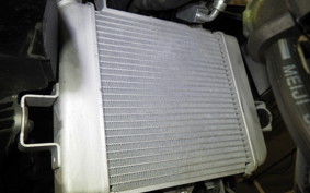 SUZUKI GSX-S125 2024 DL32B