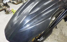 YAMAHA WR250X 2009 DG15J