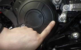 DUCATI DIAVEL 1260 S 2022
