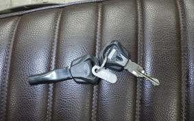 TRIUMPH BONNEVILLE T100 2018