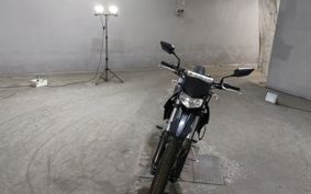 KAWASAKI D-TRACKERX LX250V