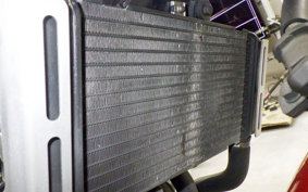 HONDA HORNET 250 2009 MC31