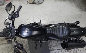HARLEY XL883N 2019