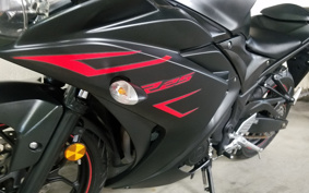 YAMAHA YZF-R25 RG43J