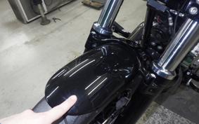 HARLEY XL1200XS 2020