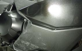 KAWASAKI NINJA 1000SX 2024 ZXT02K