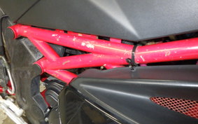 OTHER +ﾒｶﾞﾘ250R 2023