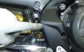 TRIUMPH STREET TRIPLE RS 2020