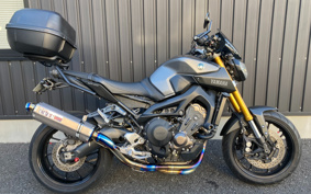 YAMAHA MT-09 2015 RN34J
