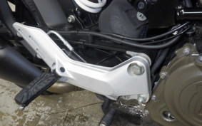 HUSQVARNA SVARTPILEN 250 2024