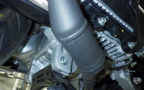 YAMAHA CYGNUSｸﾞﾘﾌｧｽ 2025 SEJ4J