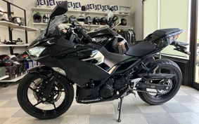 KAWASAKI NINJA 250 ABS EX250P
