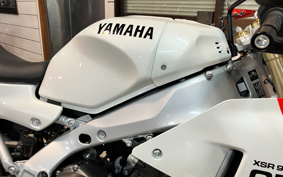 YAMAHA XSR900 GP 2024 RN96J