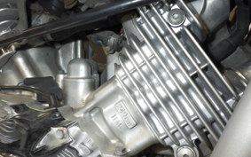 HONDA MAGNA 250 2024 MC29