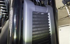 HARLEY FXLRST1920 2026