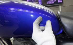 HONDA CB223S 2006 MC40