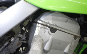 KAWASAKI KLX250 2022 LX250E