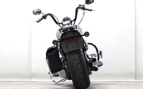 HARLEY FLSTSB 2010 JM5