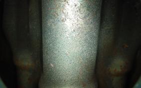 KAWASAKI Z900 2026 Z1F