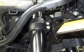 OTHER +ENFIELD ﾋﾏﾗﾔﾝ450 2025