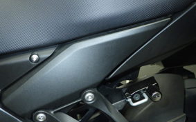 KAWASAKI NINJA 1000SX 2024
