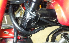 HONDA MONKEY 2022 Z50J