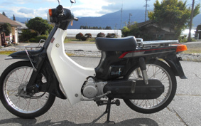 SUZUKI BIRDIE80 BC41A